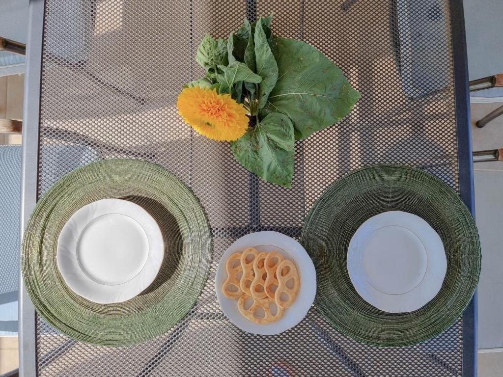 Apartamento Silos Holidays Novigrad Istria Exterior foto